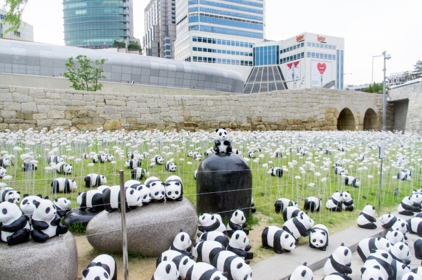 1600 Pandas+ DDP