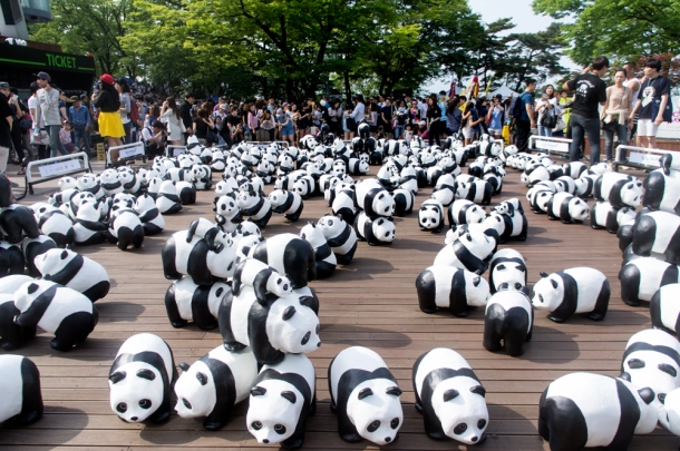 1600 Pandas+ N Seoul Tower
